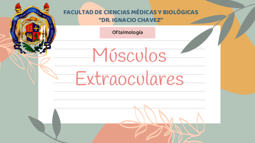 Miniatura del documento Estrabismo.pdf