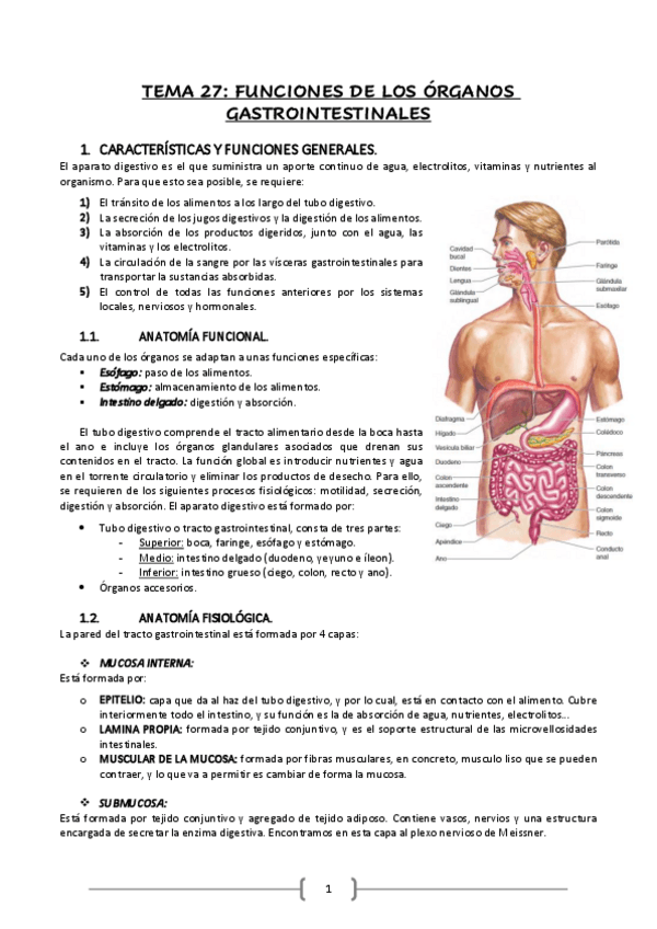 Miniatura del documento FISIOLOGIA-Bloque-IV.pdf