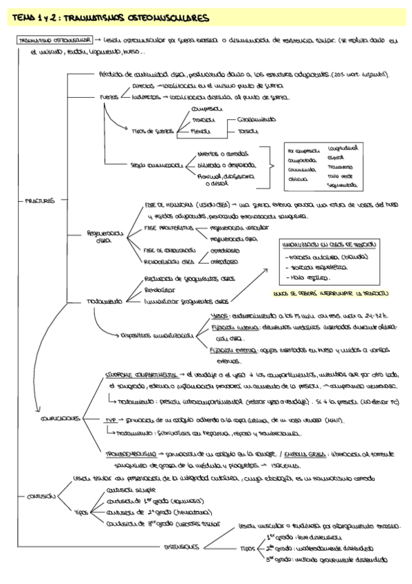 Miniatura del documento ESQUEMAS-ADULTO-II.pdf