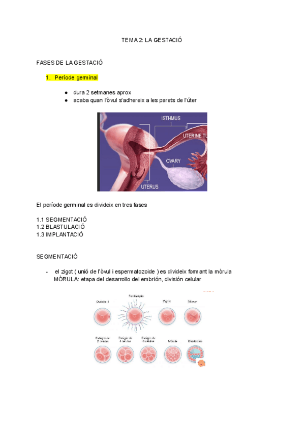 Miniatura del documento tema-2-infancia.pdf