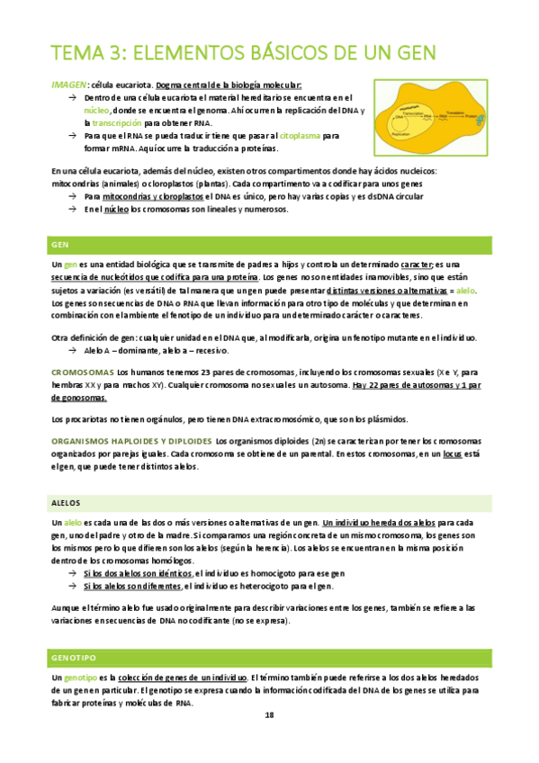 Miniatura del documento BA-Tema-3.pdf