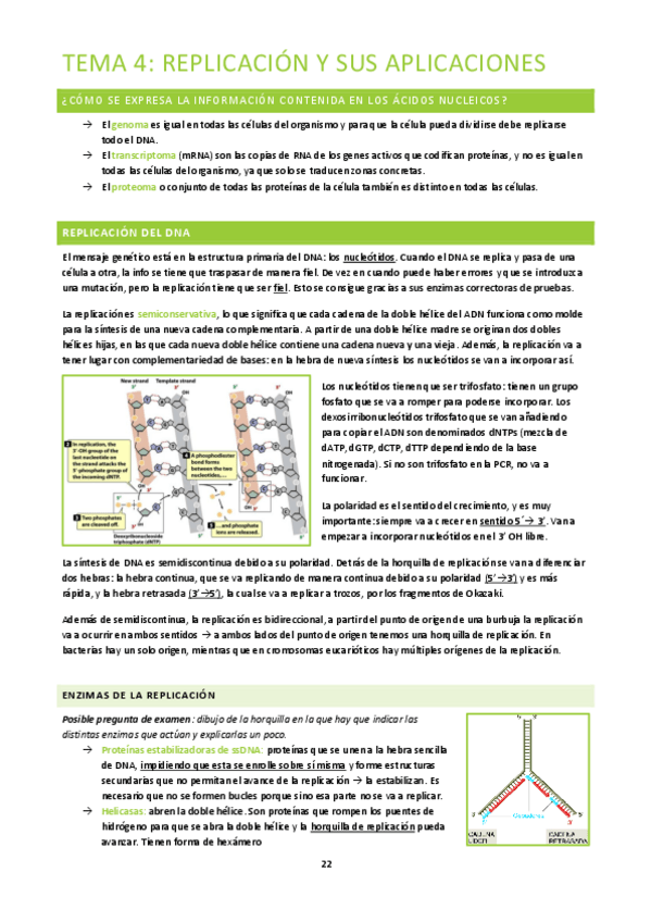 Miniatura del documento BA-Tema-4.pdf