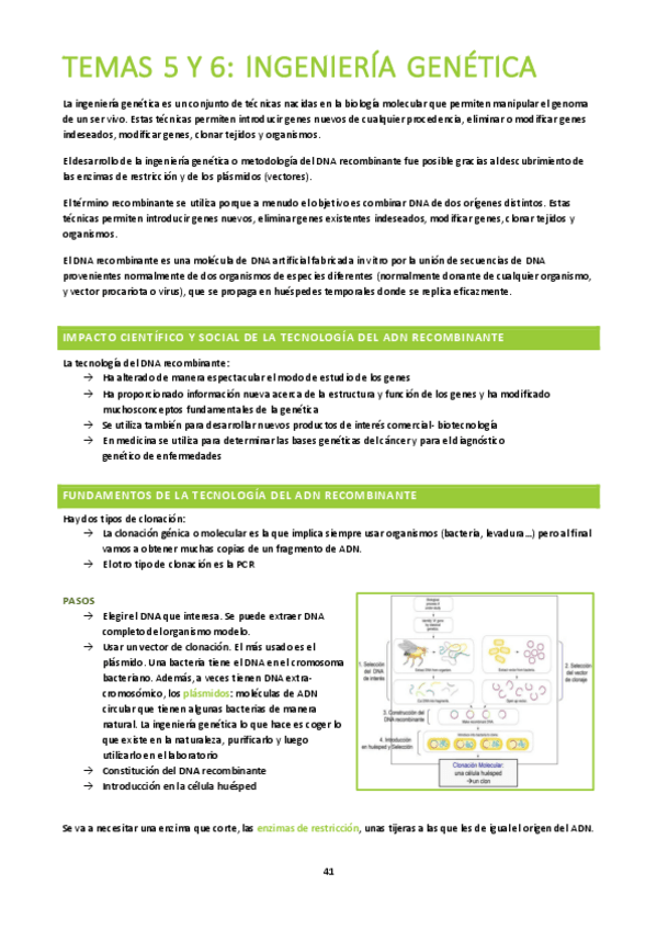 Miniatura del documento BA-Temas-5-y-6.pdf