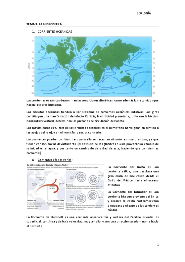 Miniatura del documento TEMA-3.-LA-HIDROSFERA.pdf