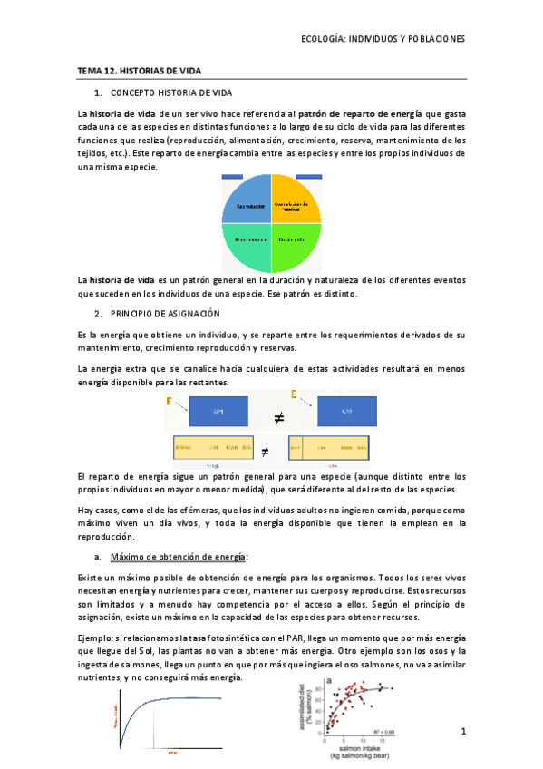 Miniatura del documento TEMA-12.-HISTORIAS-DE-VIDA.pdf