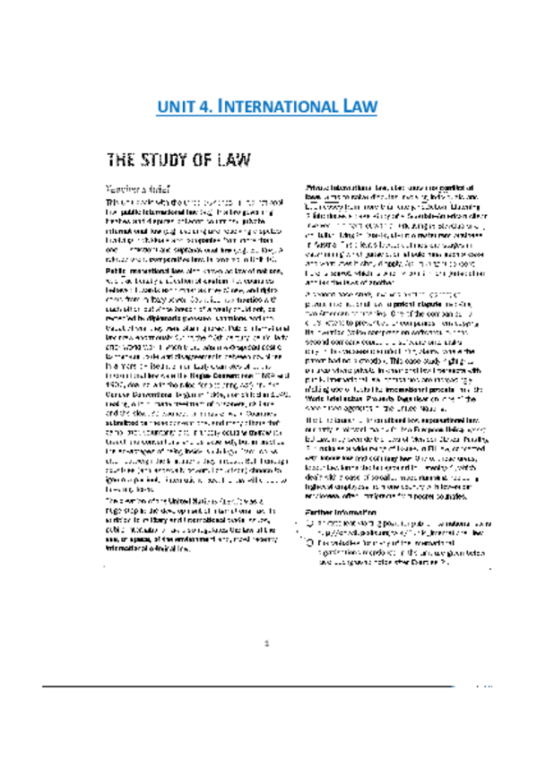 Miniatura del documento UNIT-4.-International-Law.pdf
