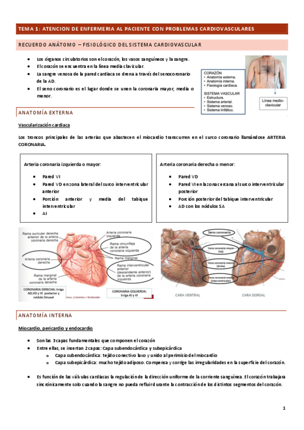 Miniatura del documento TEMA-1.pdf