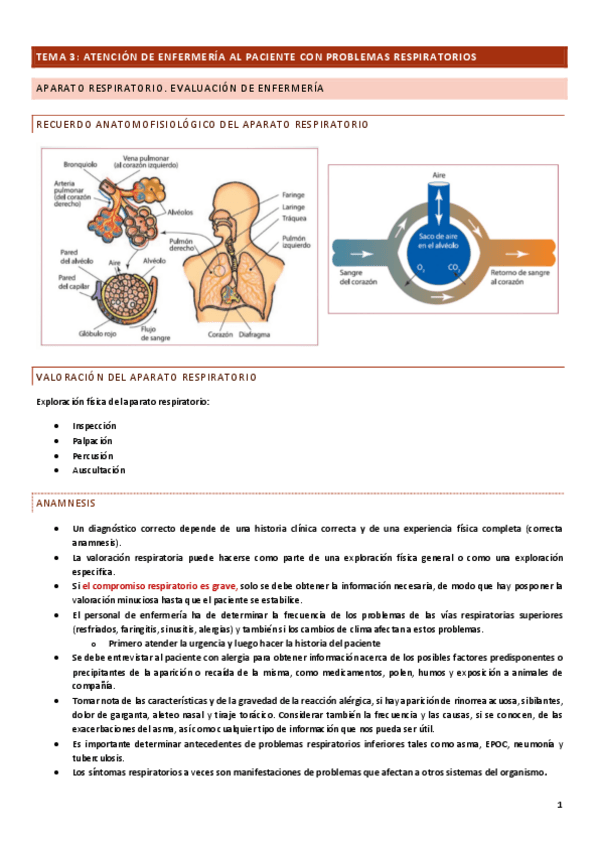 Miniatura del documento TEMA-3.pdf
