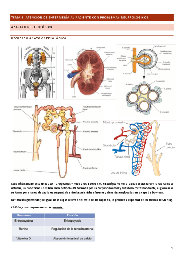 Miniatura del documento TEMA-4.pdf