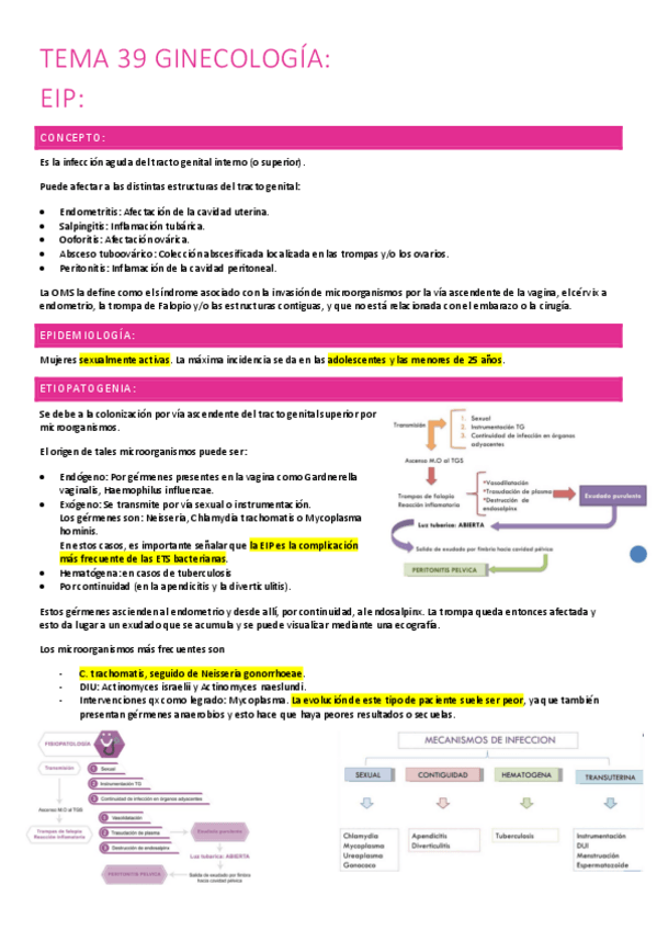 Miniatura del documento 39.-EIP.pdf
