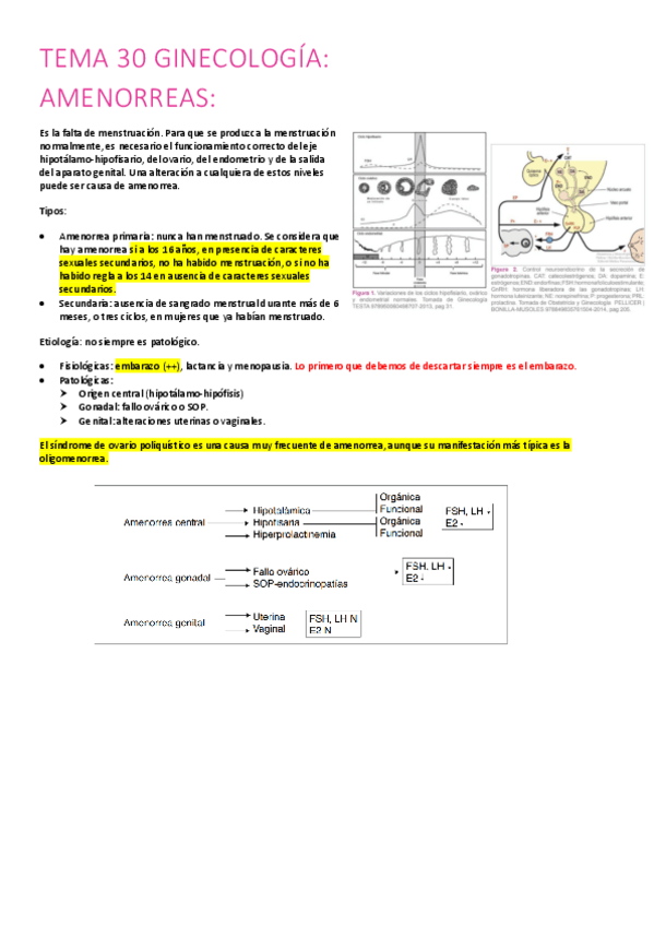 Miniatura del documento 30.-amenorreas.pdf