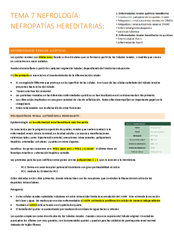 Miniatura del documento 7.-nefropatias-hereditarias.pdf