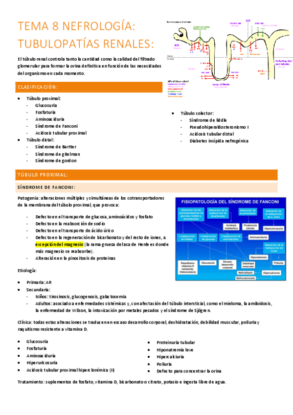 Miniatura del documento 8.-tubulopatias-renales.pdf