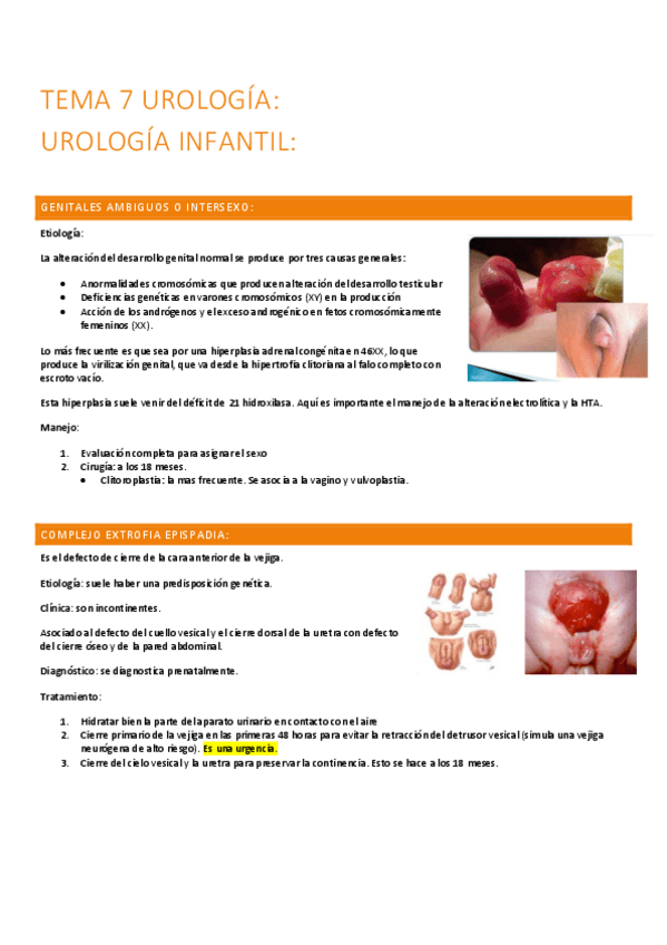 Miniatura del documento 7.-Infantil.pdf