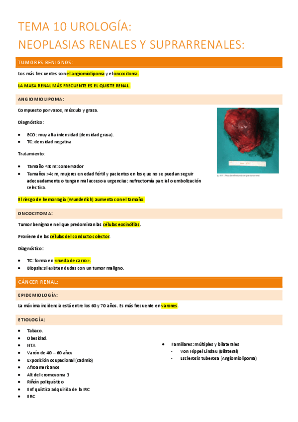 Miniatura del documento 10.-cancer-renal-y-suprarrenal.pdf