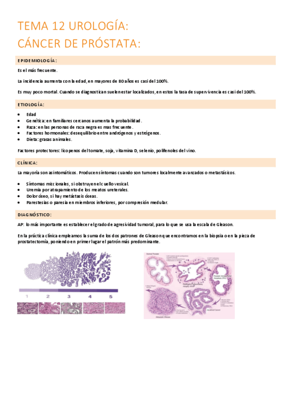 Miniatura del documento 12.-cancer-de-prostata.pdf