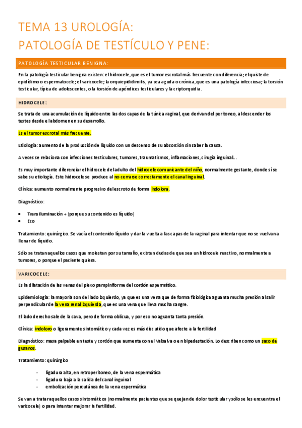 Miniatura del documento 13.-cancer-de-testiculo-y-pene.pdf