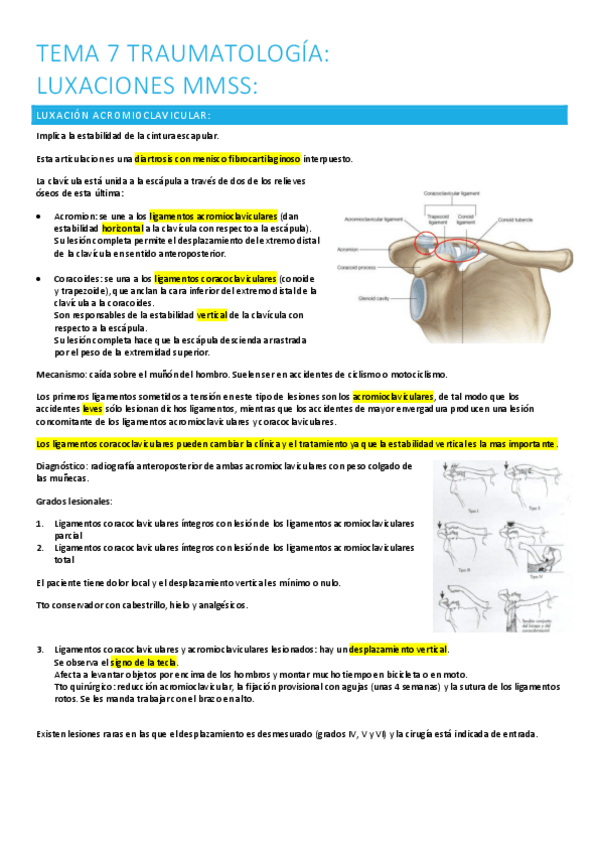 Miniatura del documento 7.-luxaciones-mmss.pdf