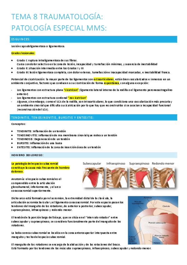 Miniatura del documento 8.-patologia-especial-mmss.pdf