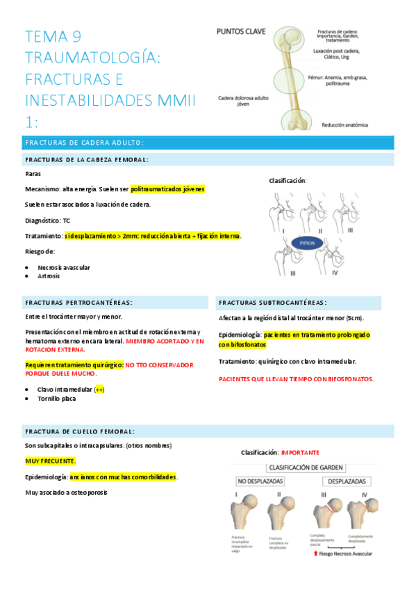 Miniatura del documento 9.-fracturas-e-inestabilidades-mmii1.pdf