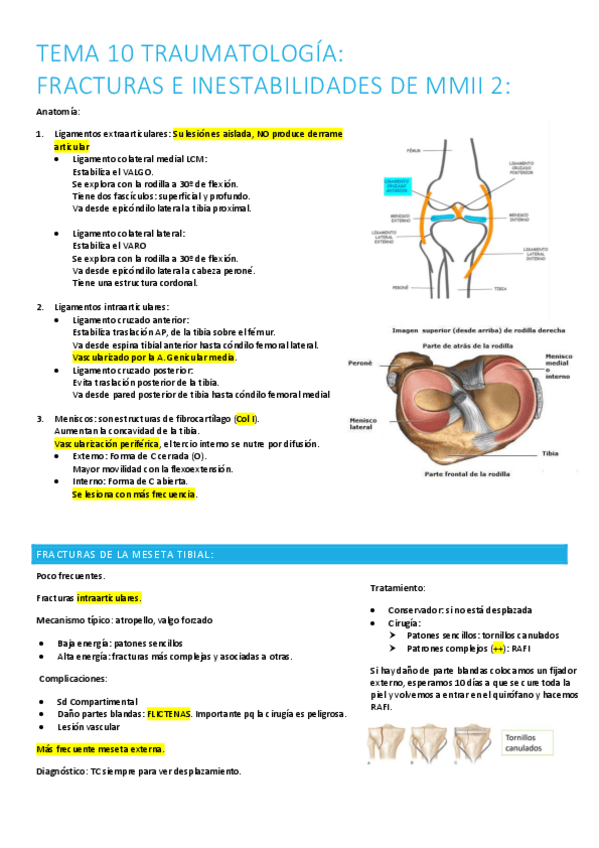 Miniatura del documento 10.-fracturas-e-inestabilidades-mmii2.pdf