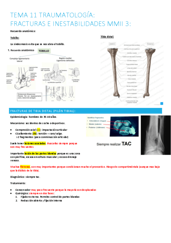 Miniatura del documento 11.-fracturas-e-inestabilidades-mmii3.pdf