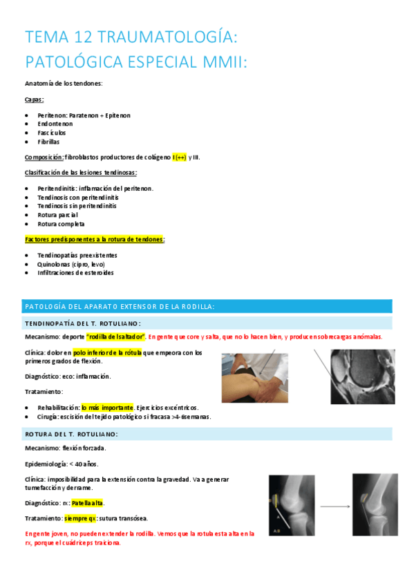 Miniatura del documento 12.-patologia-especial-mmii.pdf
