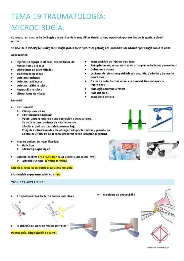 Miniatura del documento 19.-microcirugia.pdf