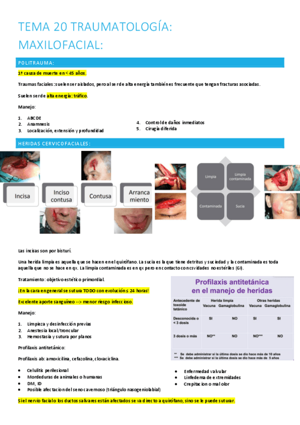 Miniatura del documento 20.-maxilo.pdf