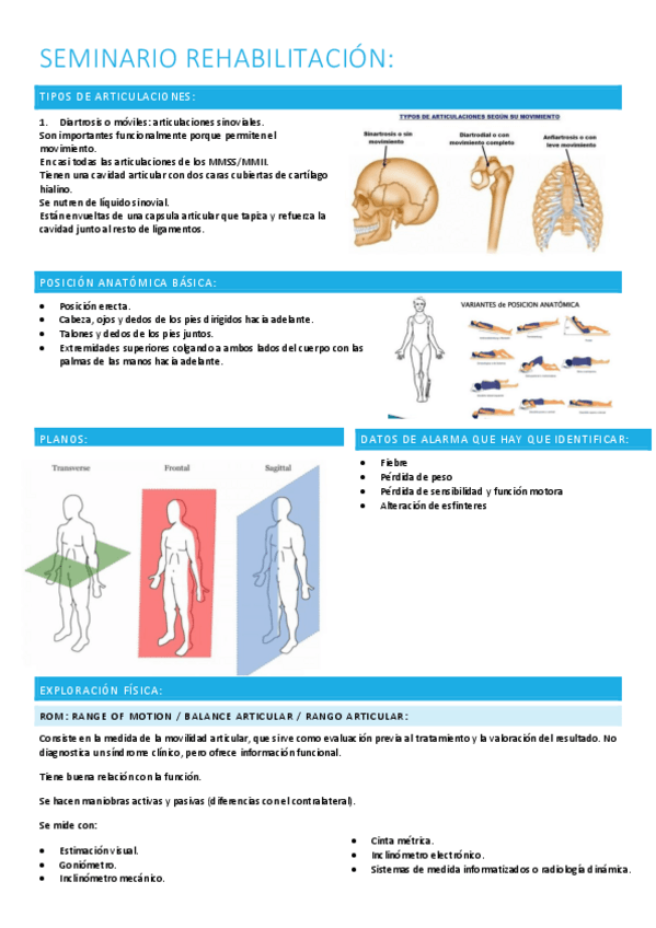 Miniatura del documento Seminario-rehabilitacion.pdf