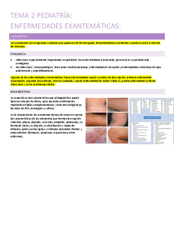 Miniatura del documento 2.-enfermedades-exantematicas.pdf