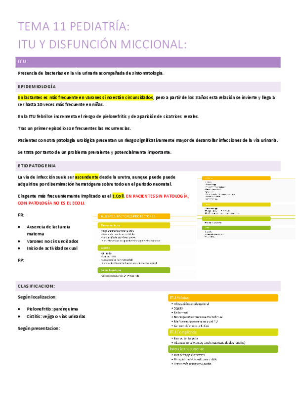 Miniatura del documento 11.-itu-y-disfuncion-miccional.pdf