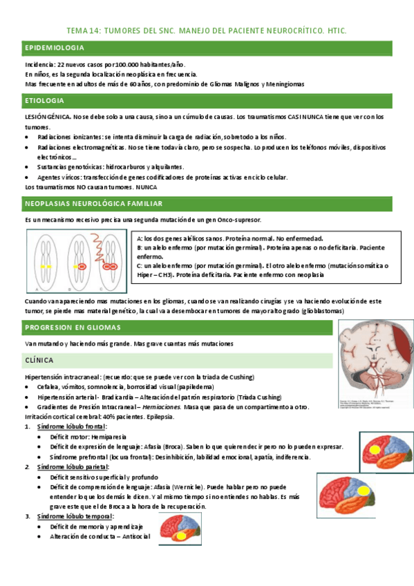 Miniatura del documento tema-14.pdf