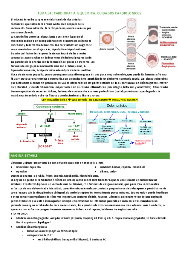 Miniatura del documento tema-34.pdf