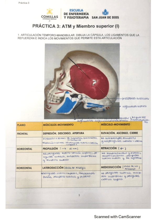 Miniatura del documento practica-3-anato.pdf