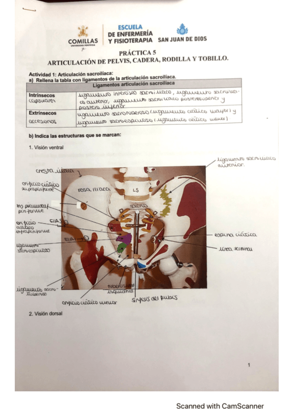 Miniatura del documento practica-5.pdf