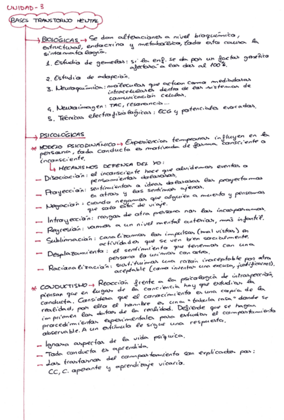 Miniatura del documento Esquema-3-Salud-mental.pdf
