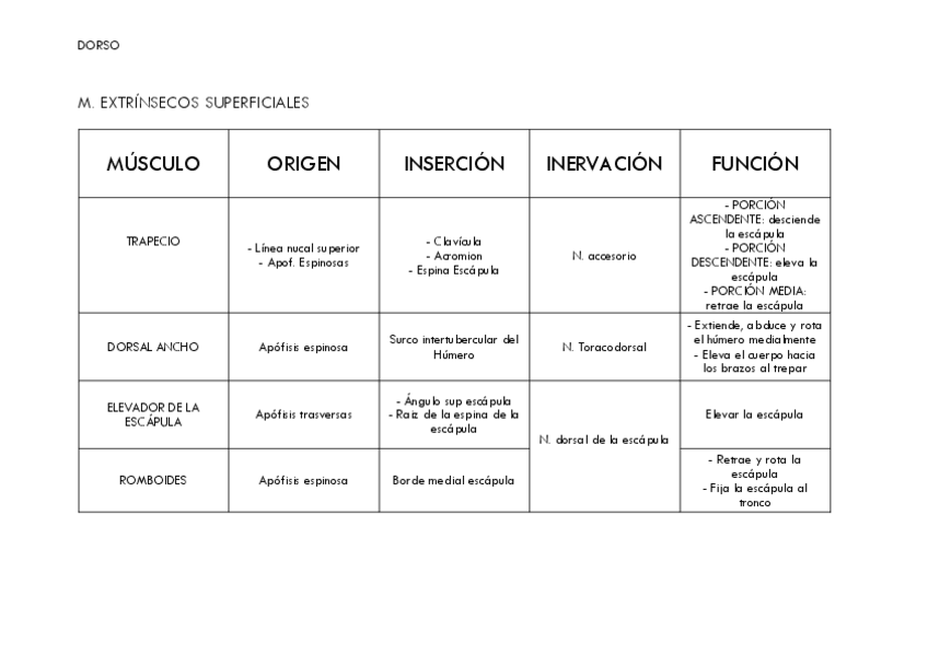 Miniatura del documento Musculos-torso-y-cuello.pdf
