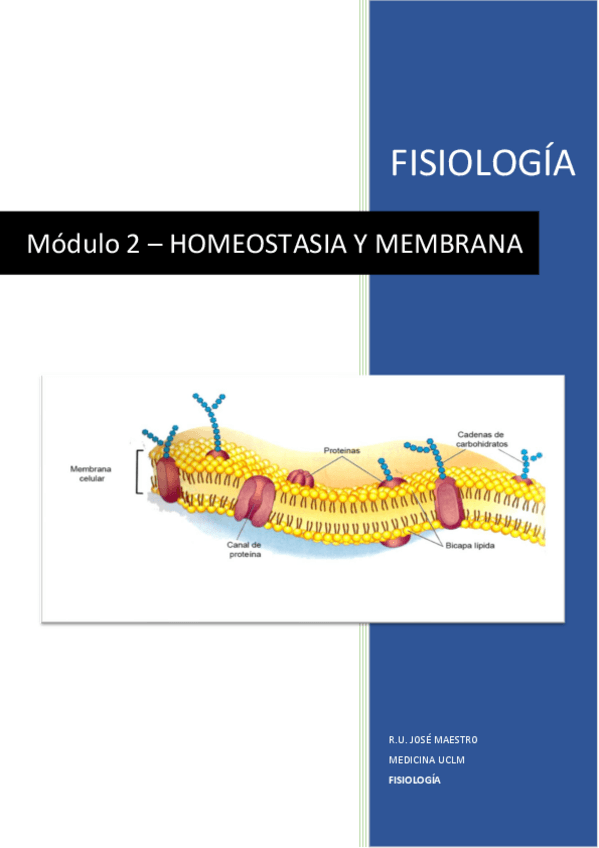 Miniatura del documento APUNTES-M2.pdf