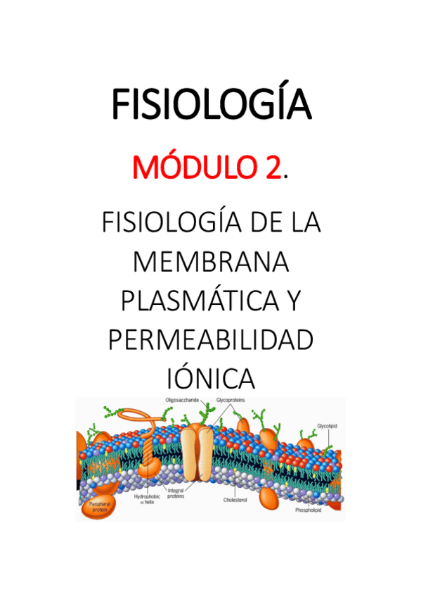 Miniatura del documento FISIOLOGIA-completo.pdf