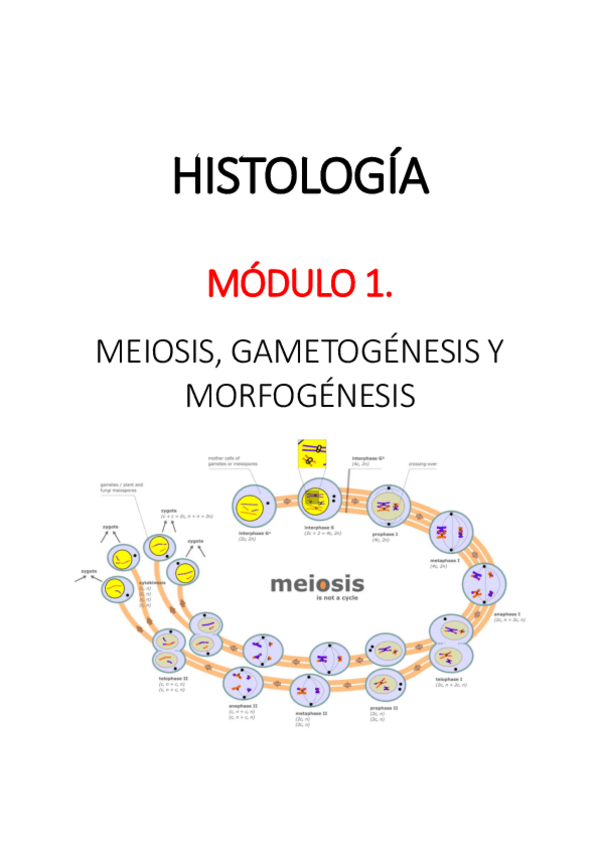 Miniatura del documento HISTOLOGIA-Modulo-1.pdf