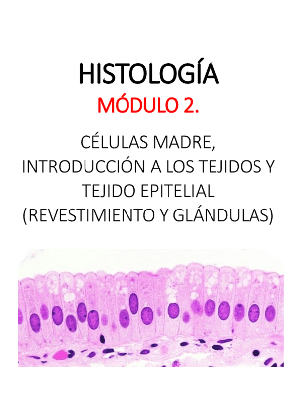 Miniatura del documento Apuntes-M2-2.pdf