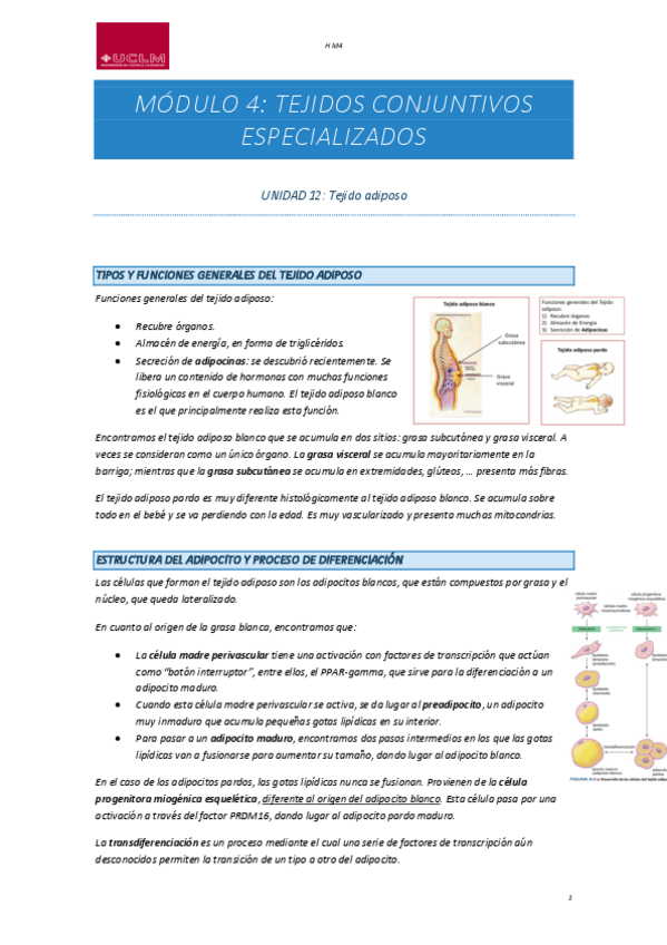 Miniatura del documento H-M4-2.pdf