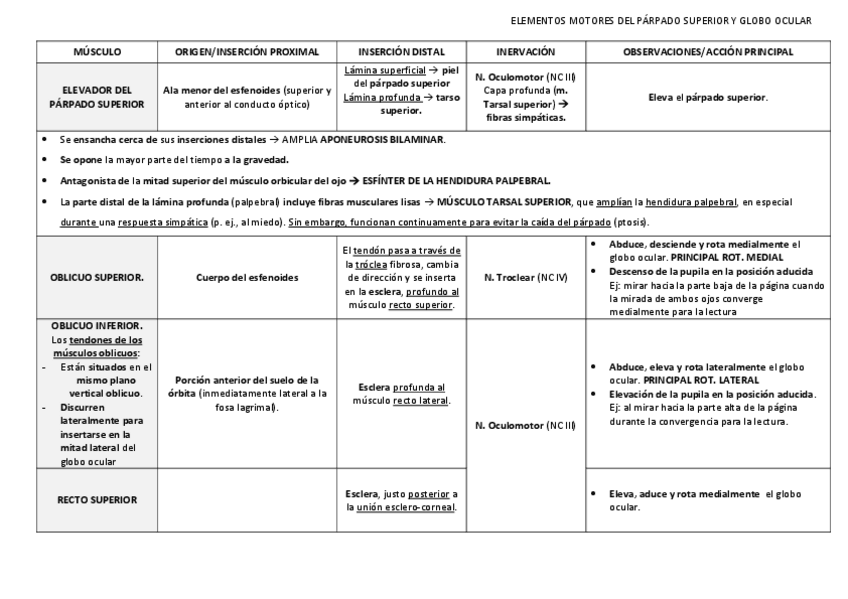 Miniatura del documento MUSCULOS-GLOBO-OCULAR.pdf
