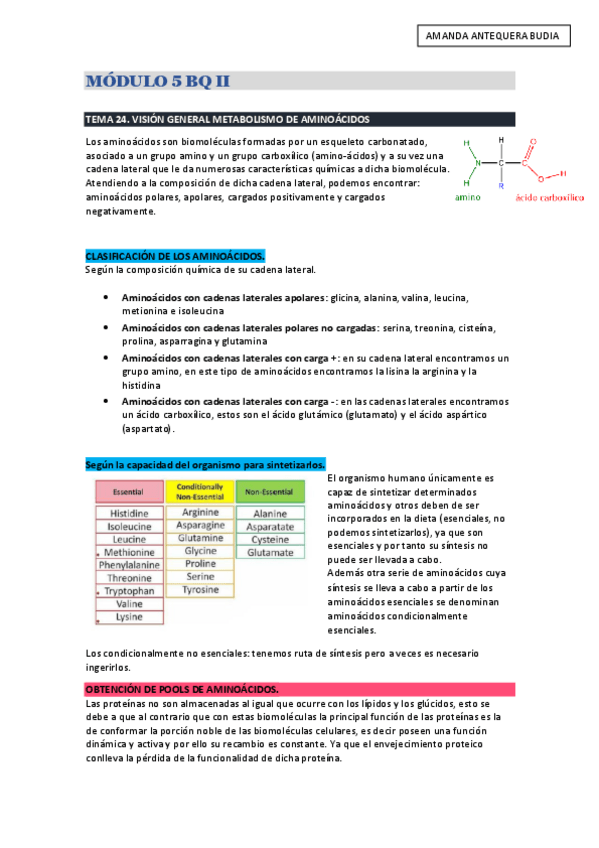 Miniatura del documento mod-5-bq-II-AMANDA-ANTEQUERA.pdf