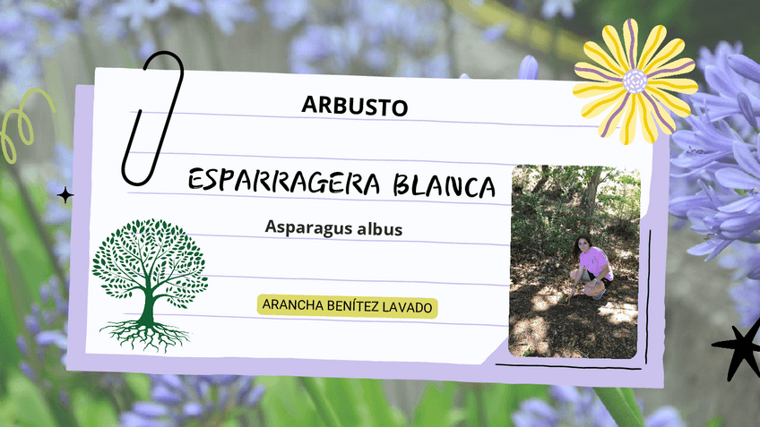 Miniatura del documento Empadronar-arbusto-y-arbol.pdf