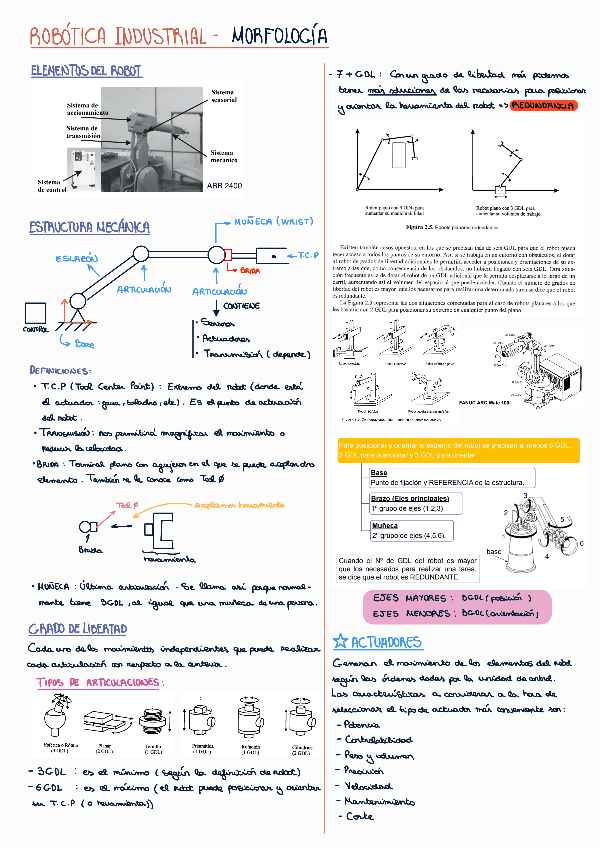 Miniatura del documento Tema-2-Morfologia-1.pdf