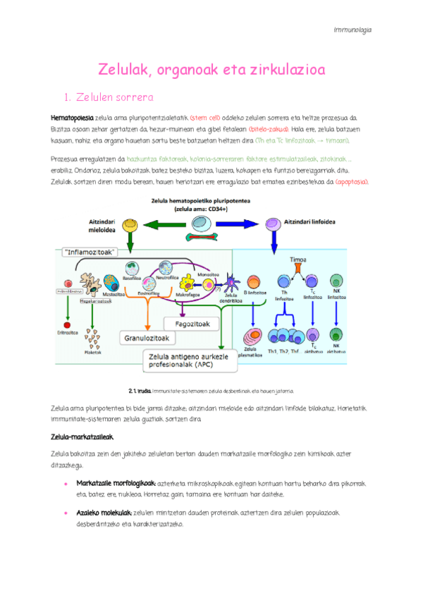 Miniatura del documento 2.-Zelulak-organoak-eta-zirkulazioa.pdf