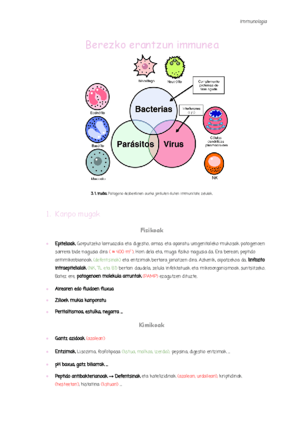Miniatura del documento 3.-Berezko-erantzun-immunea.pdf