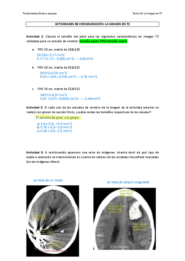Miniatura del documento ACTIVIDADES-DE-CONSOLIDACION-LA-IMAGEN-EN-TC.pdf